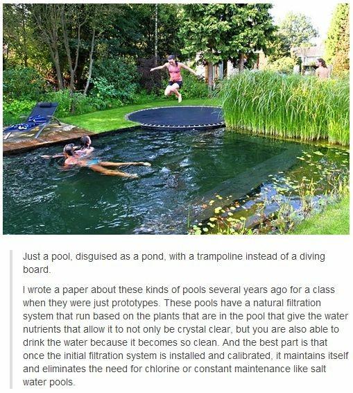 Interior inspiration.....