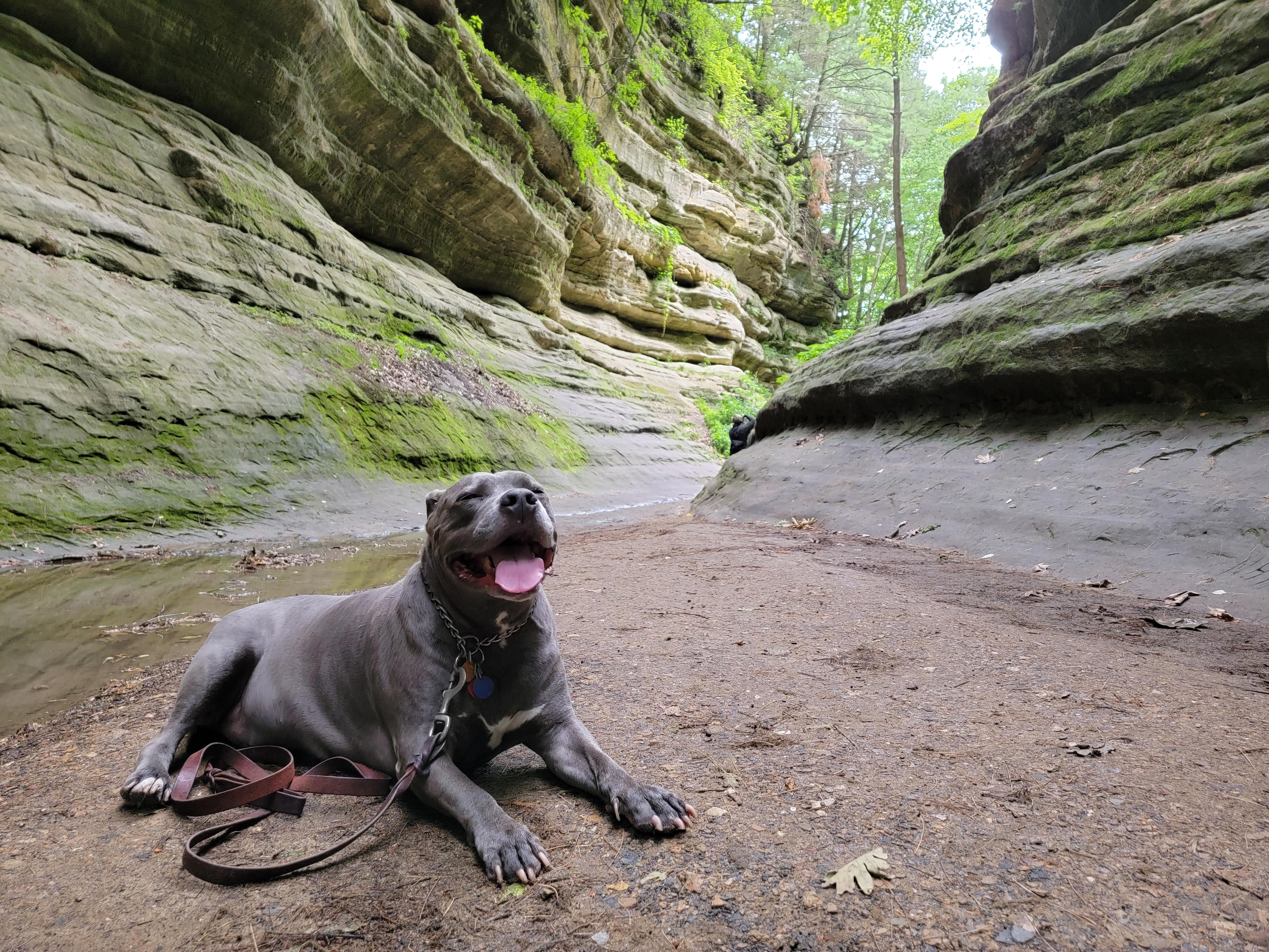 Living his best life