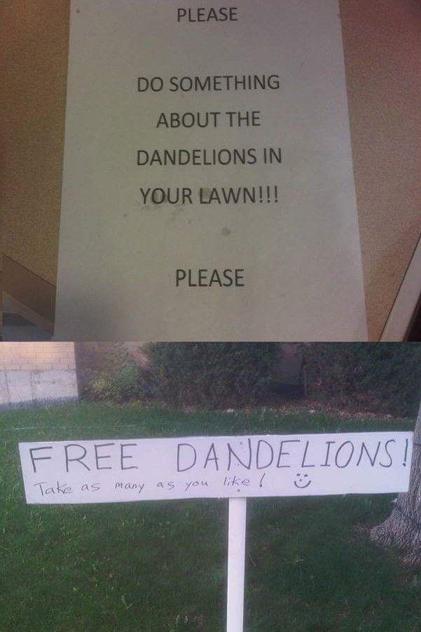 Judging by the lack of dandelions, it looks like the sign worked.
