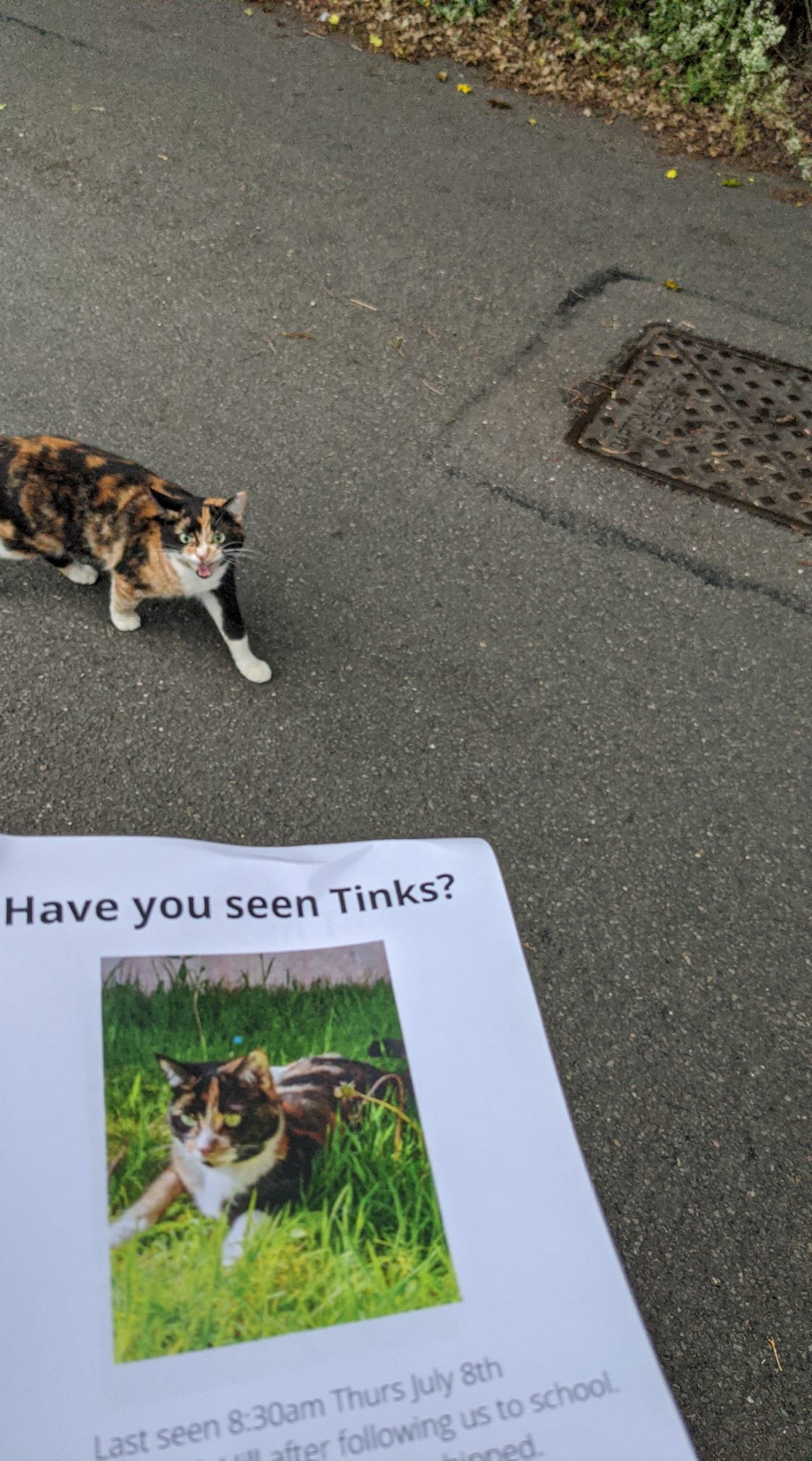 "This isn't the Tinks you are looking for."