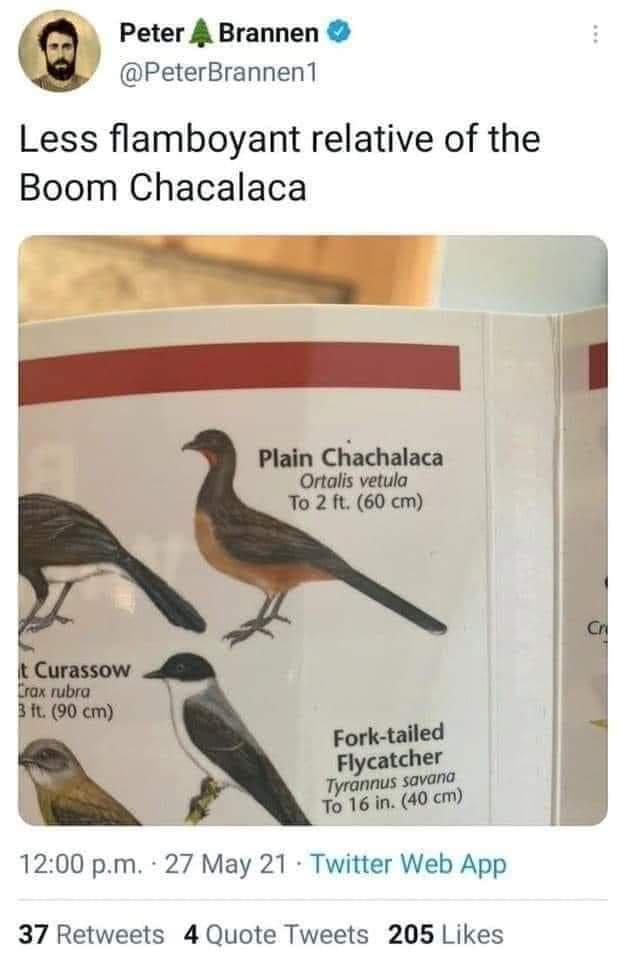 Digitool's massive meme cleanse part #114 - the I am a little late with this one