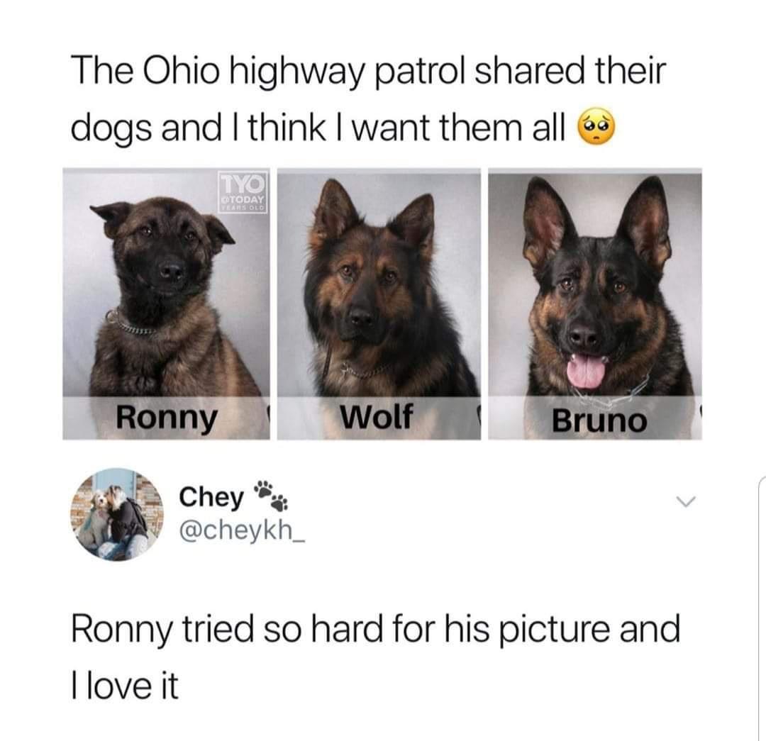 Good boys