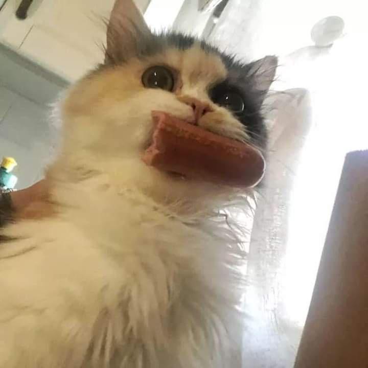 Caught snackin&rsquo;