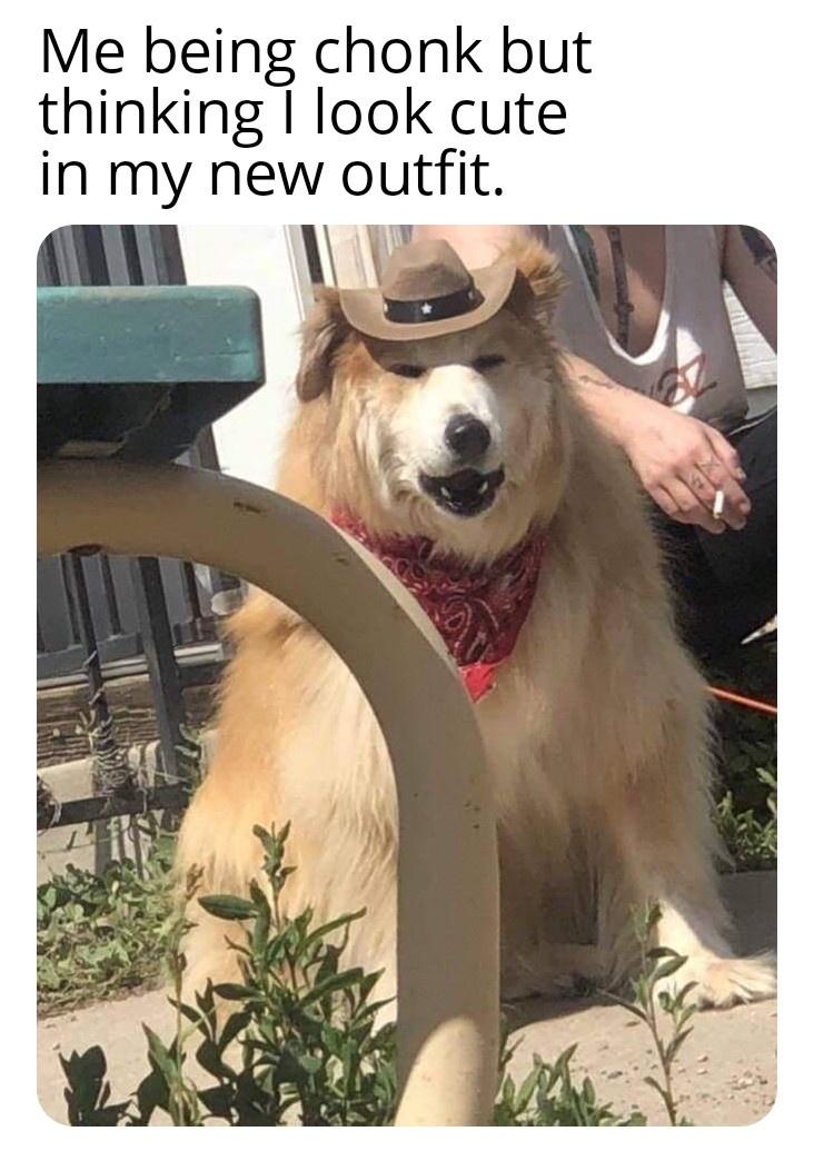 Don't body shame me.