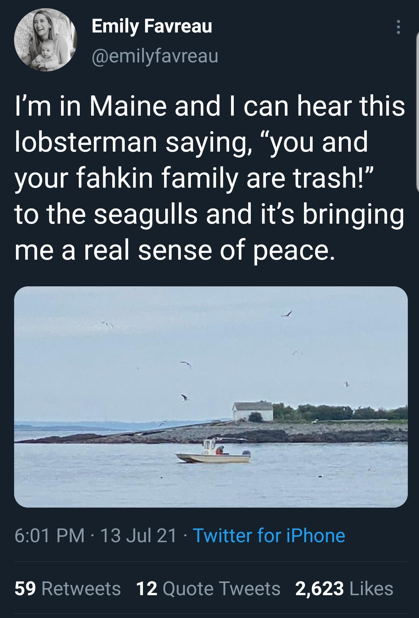 Seagulls and New Englanders are like Montagues and Capulets