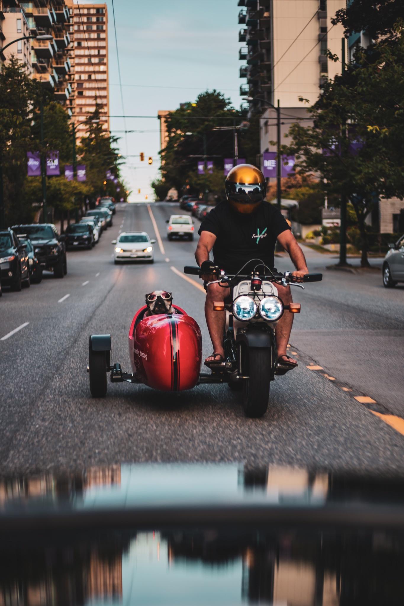 I was riding to the beach with my dog the other day, and a random photographer at a stoplight pulled out his camera and sent me the pics
