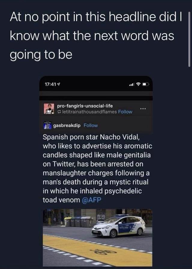 Nacho giving Florida man a run for his money!