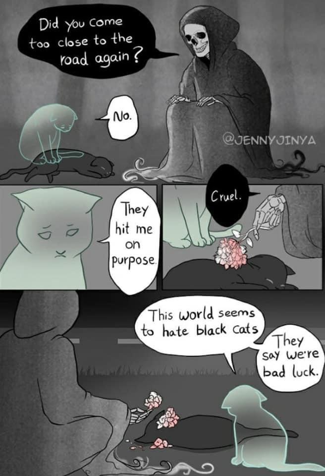 The Black Cat&hellip;