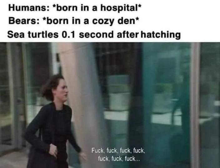 Check your privilege