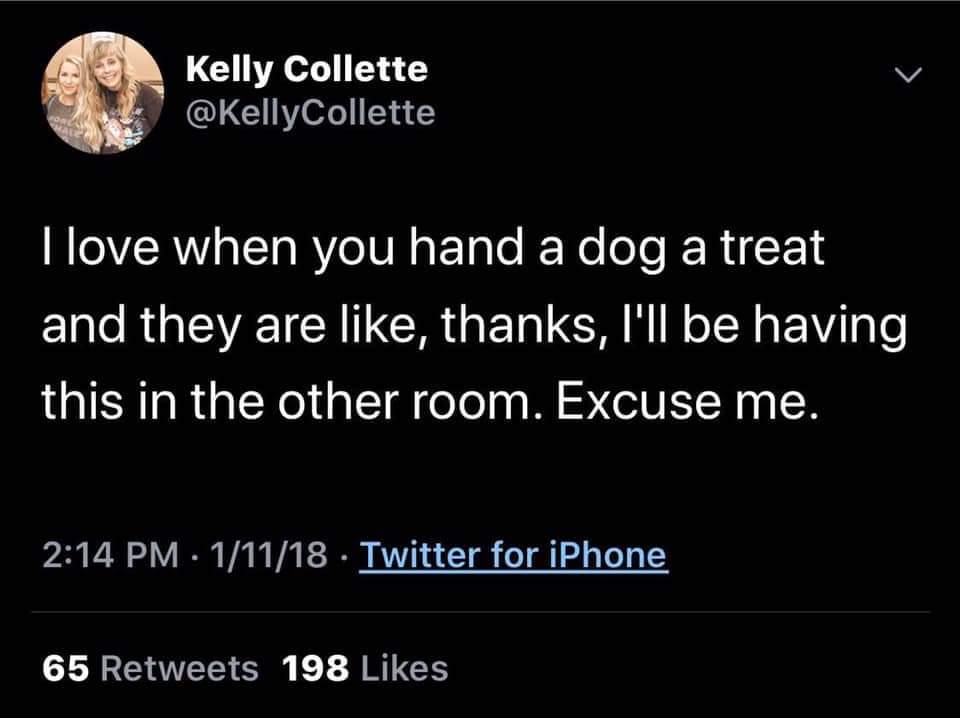 My boy brings his treats right to his bed