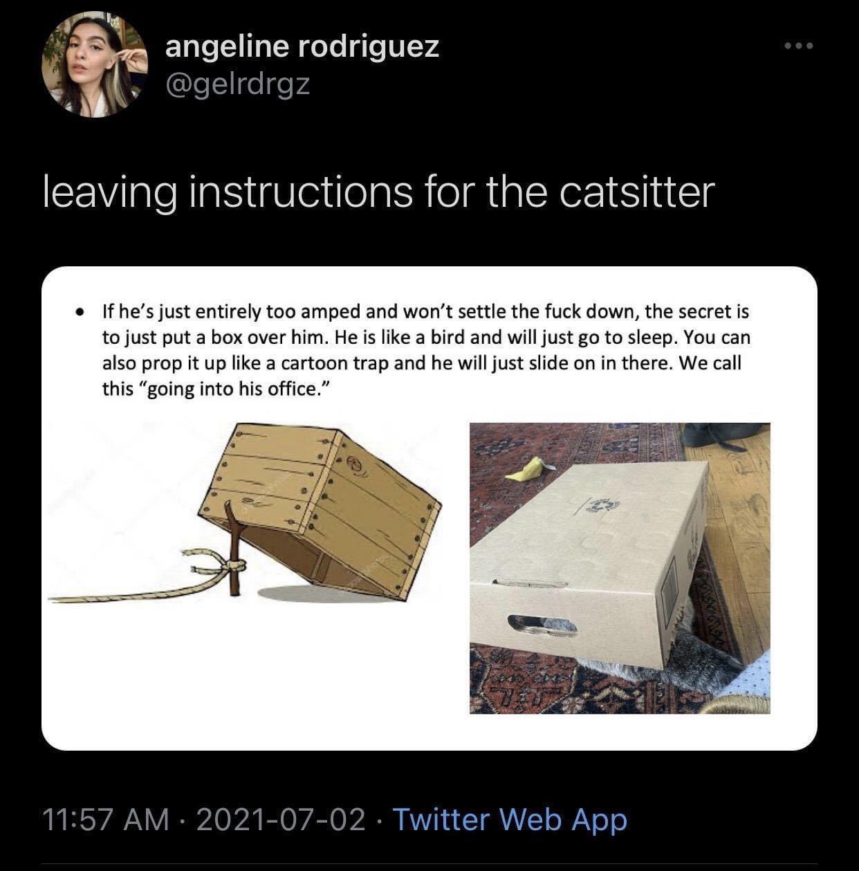 Funny Random Meme and Twitter Dump