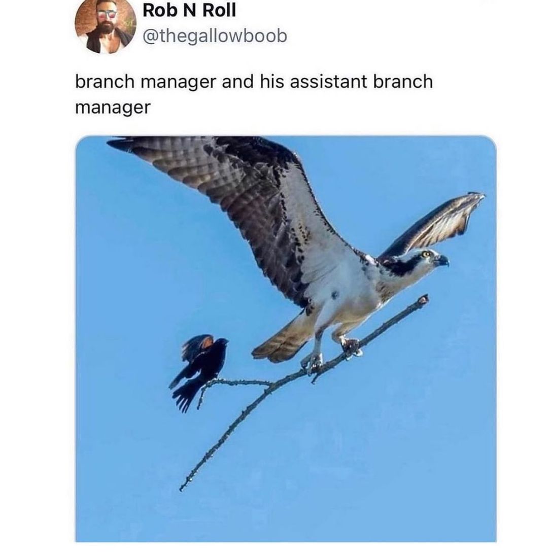 They&rsquo;re onto something!