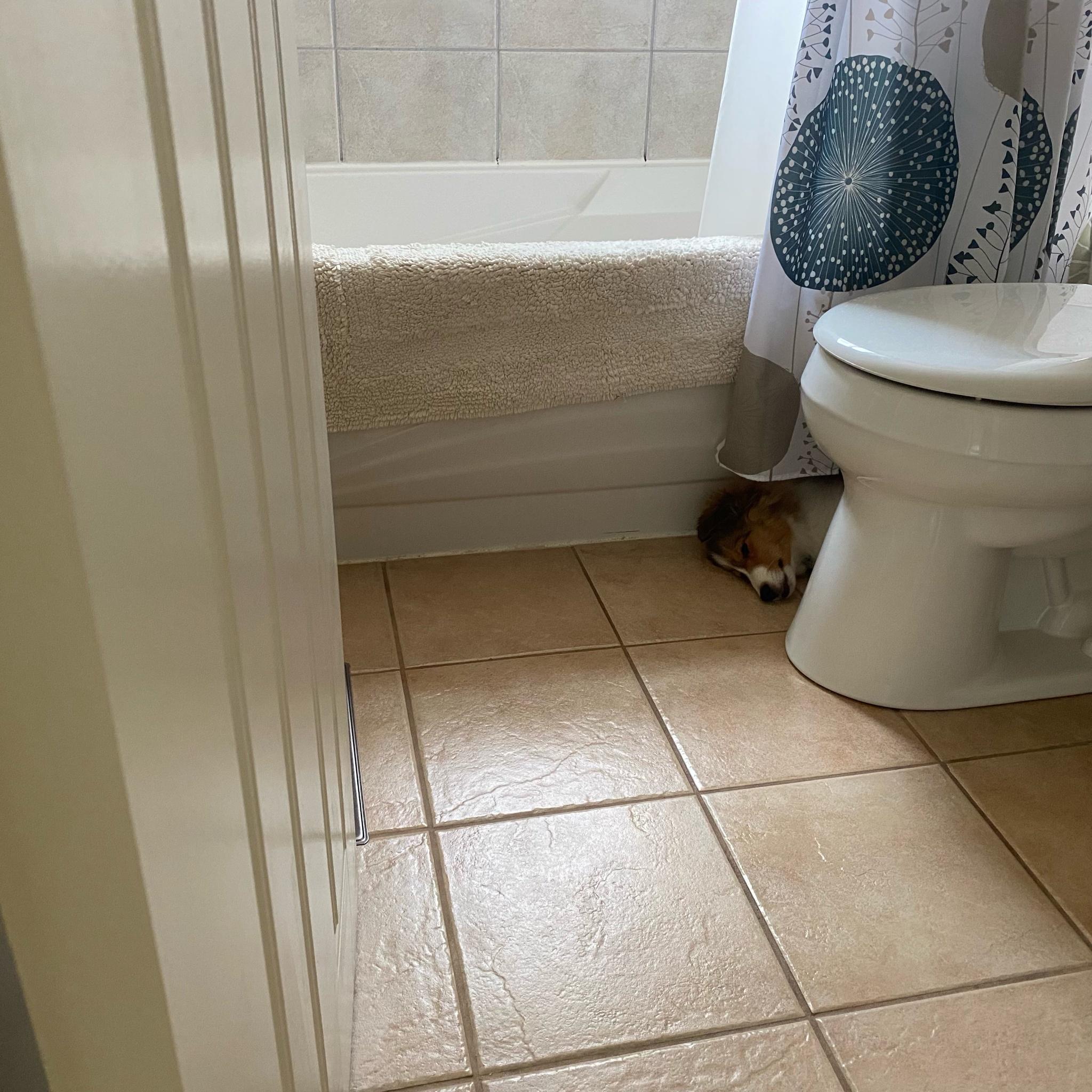 This is Marshall.  He brought his duckie along for a nap.