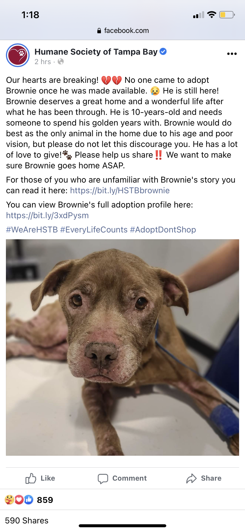 Can anyone in the Tampa Bay Area take in this good old boy?