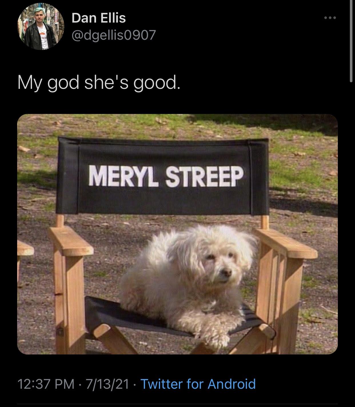 Funny Random Meme and Twitter Dump