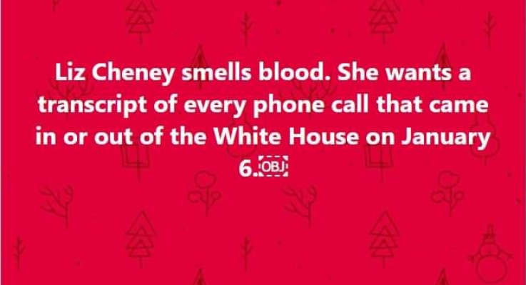 The republicans are gonna be sorry they messed with Liz.&nbsp; Shit's about to get real.
