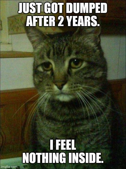 In need of pics of cute cats and dogs.