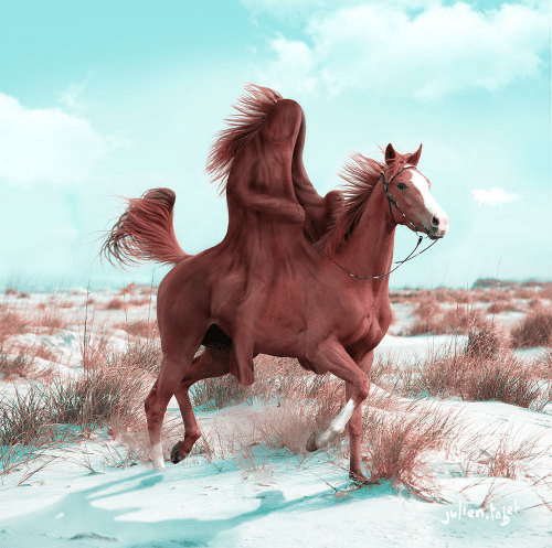 When you forget your winter coat, there's no shame in improvising.