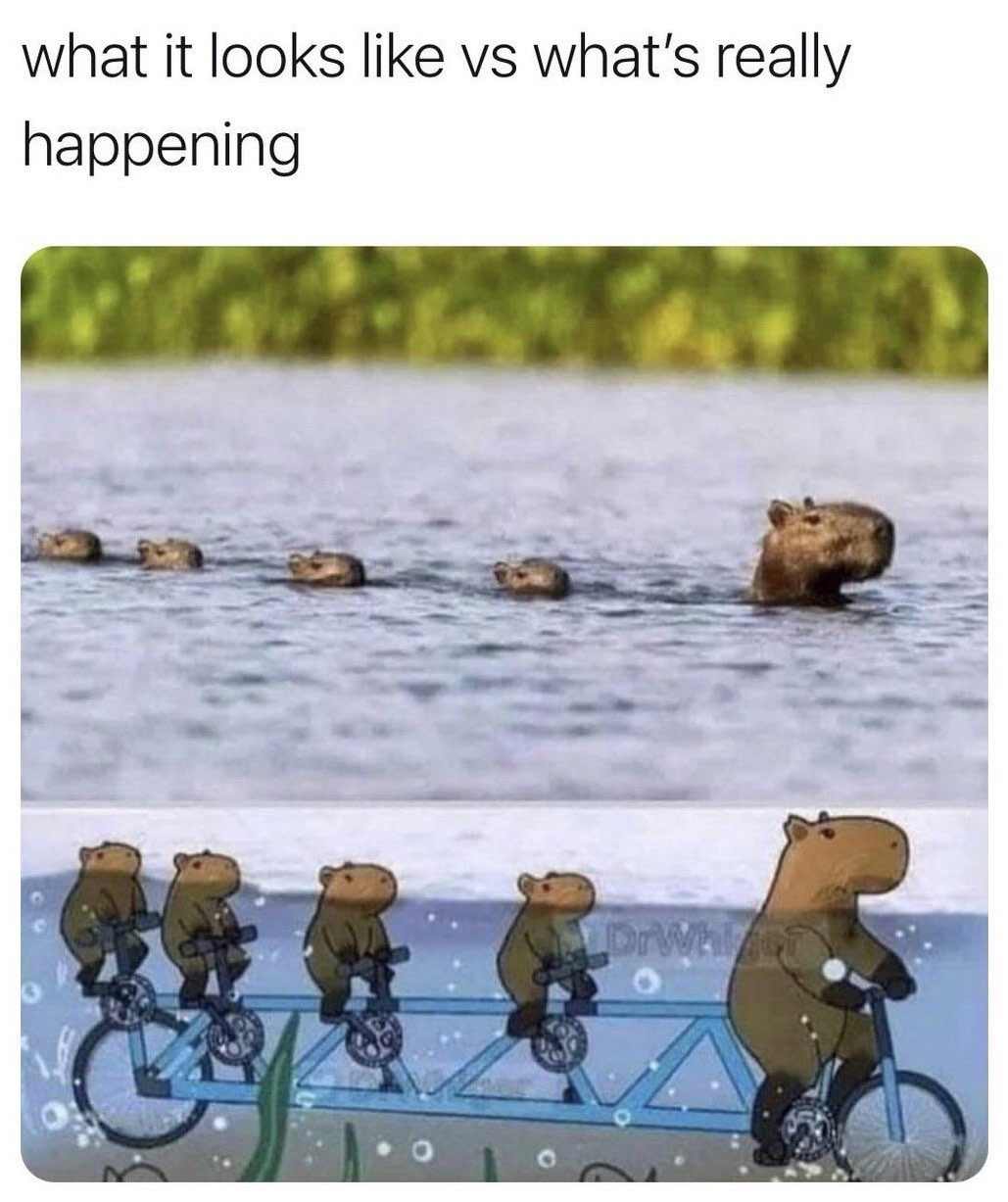 Looks can be deceiving&nbsp;