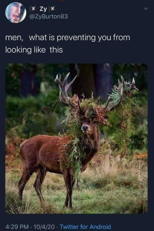 Well, that for starters I guess...