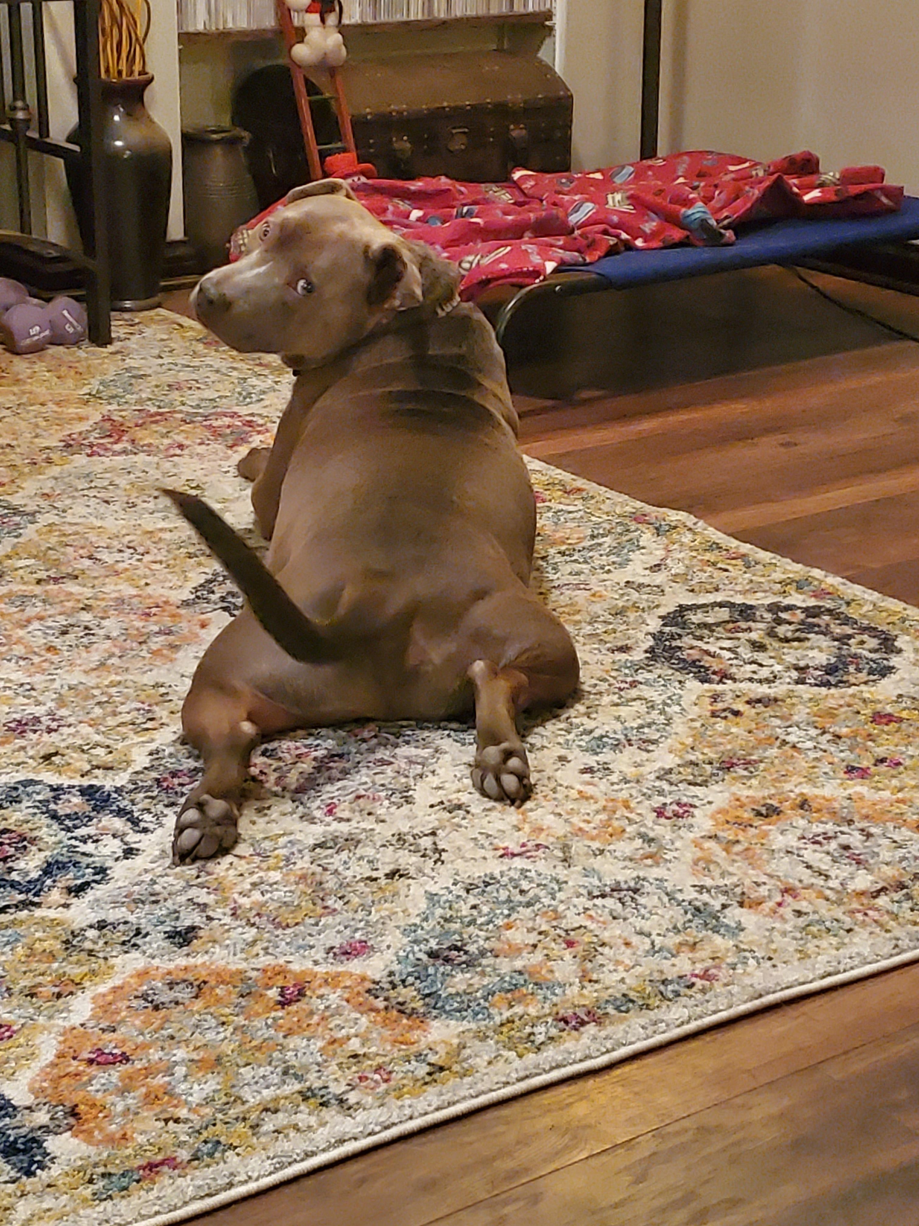 Paint Me Like One of Your French Girls