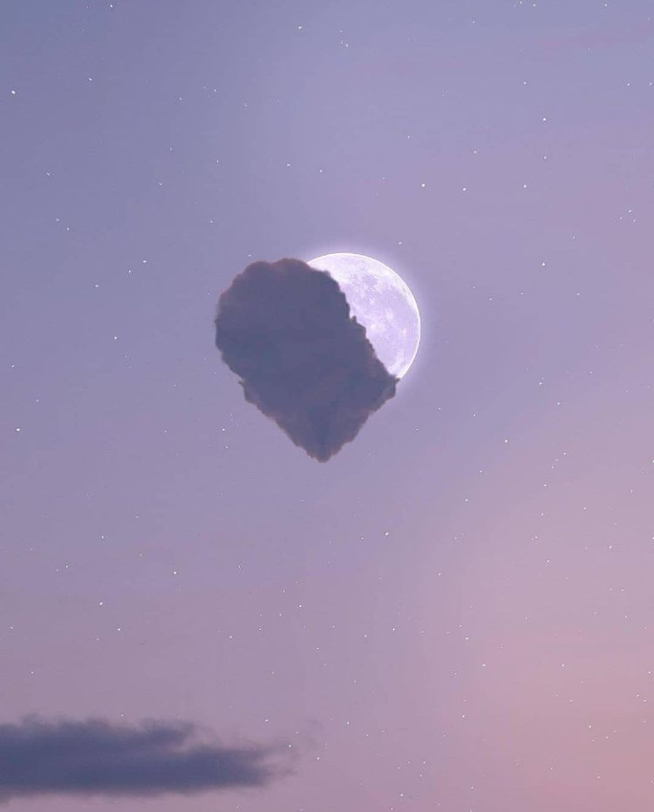 oh shit lovemoon