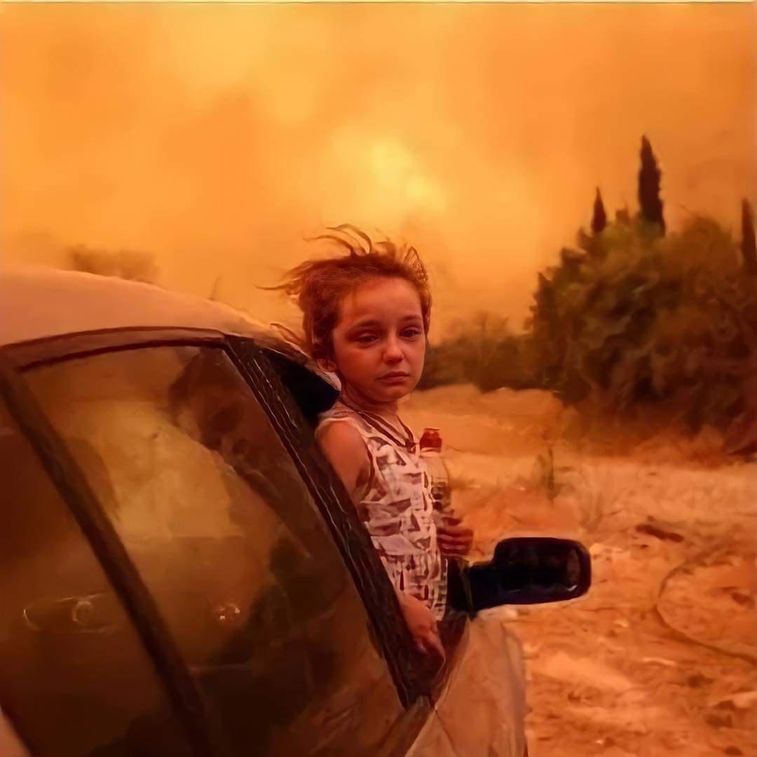 Wildfires in Algeria kill more than 60 people.