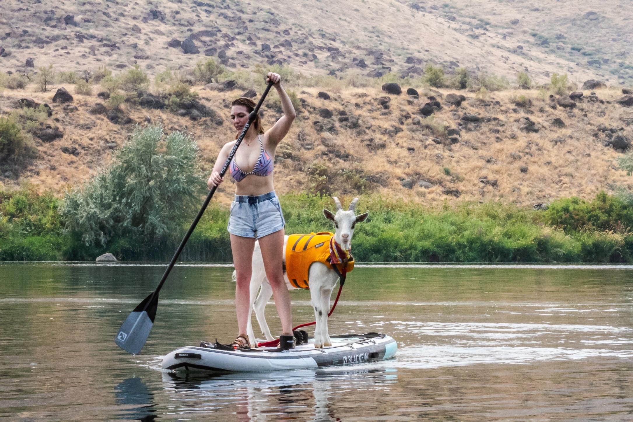 Timothy Skrinkle paddle boarding on the Snake River