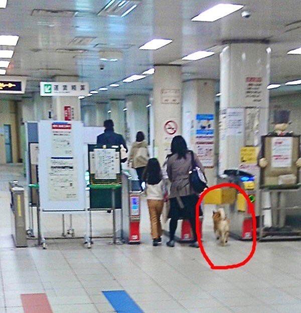 He fought the law, and the law won