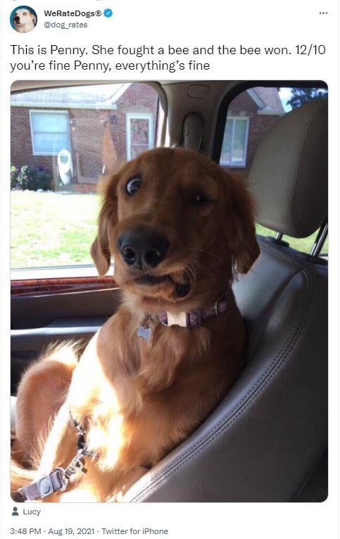 Penny didn't have to fight that bee for you, but she didn't hesitate!