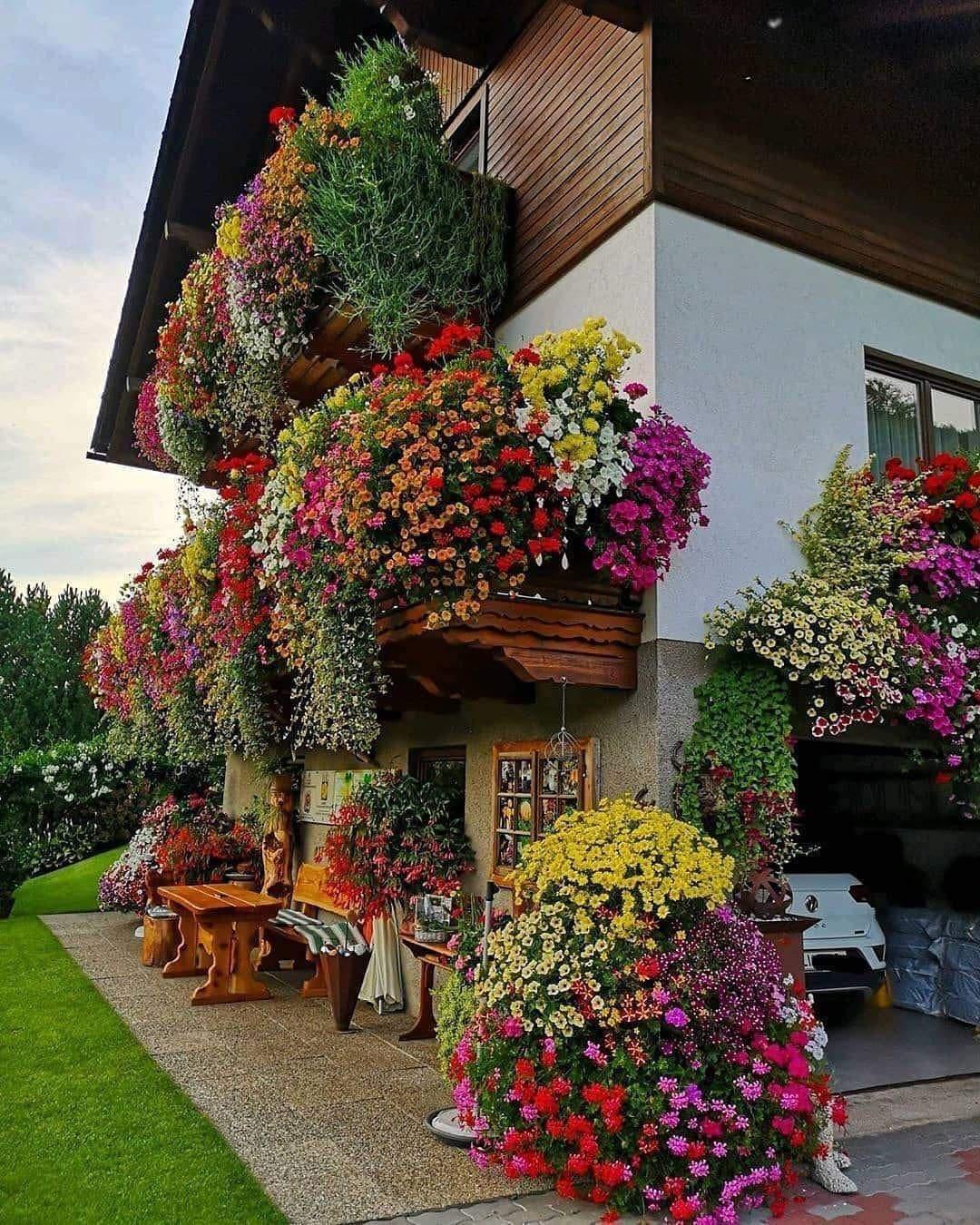 House of flowers