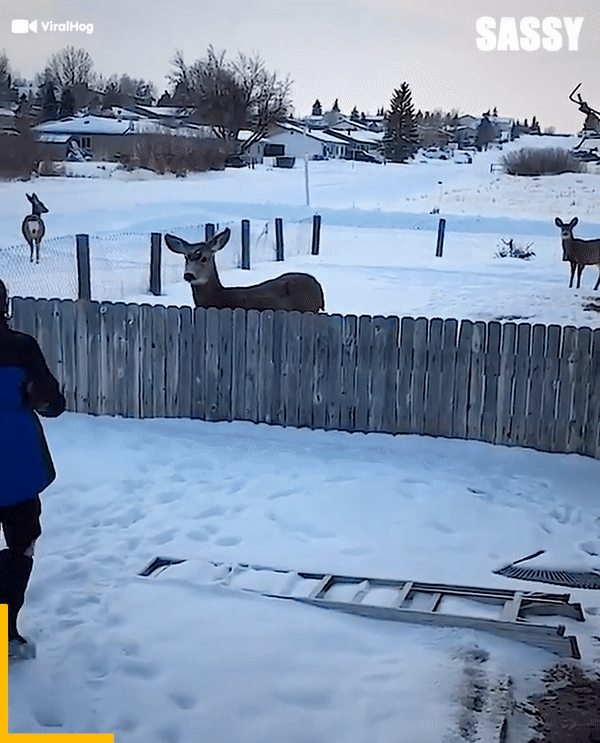 What a beautiful sight !&nbsp;