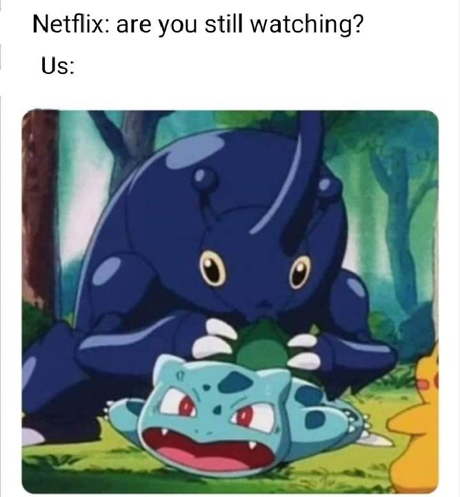 Netflix and chill