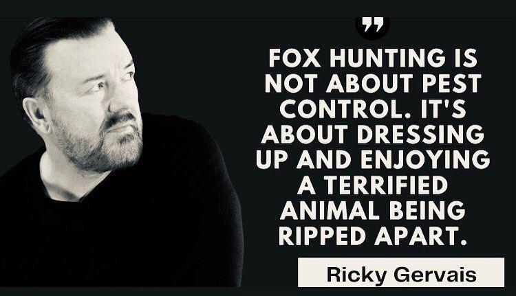 Fox hunting (#KeepTheBan)