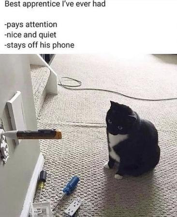 Apprenticeship&nbsp;