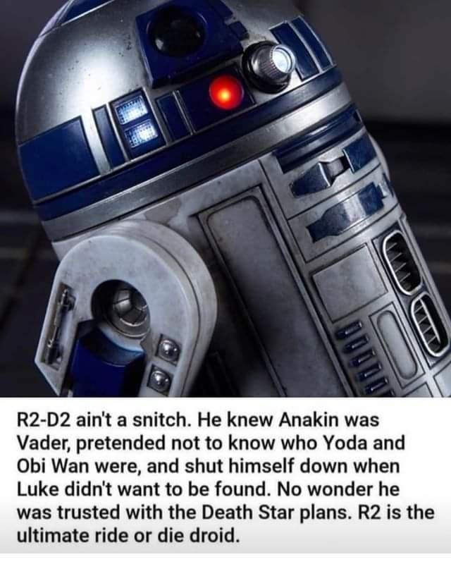 Bitches get stitches.  Not R2-D2 though.