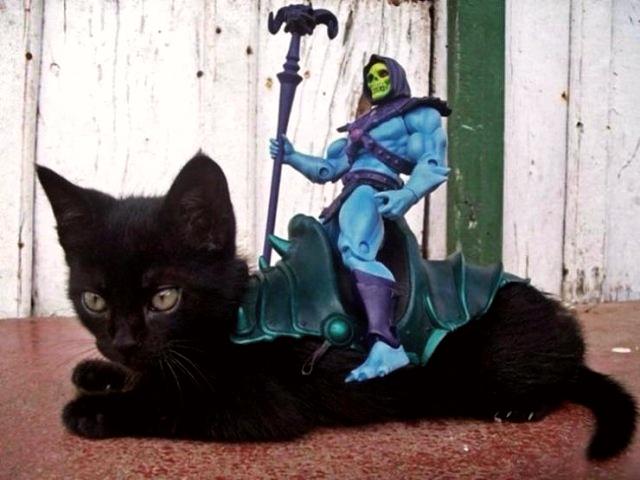 photo manipulation with mobile