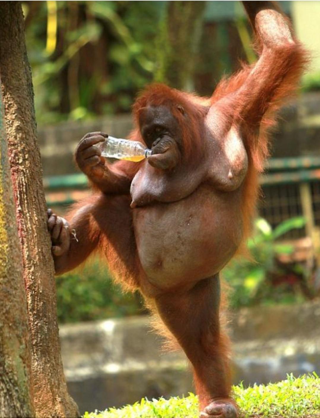 My first RHM post! (Am I doing this right?)