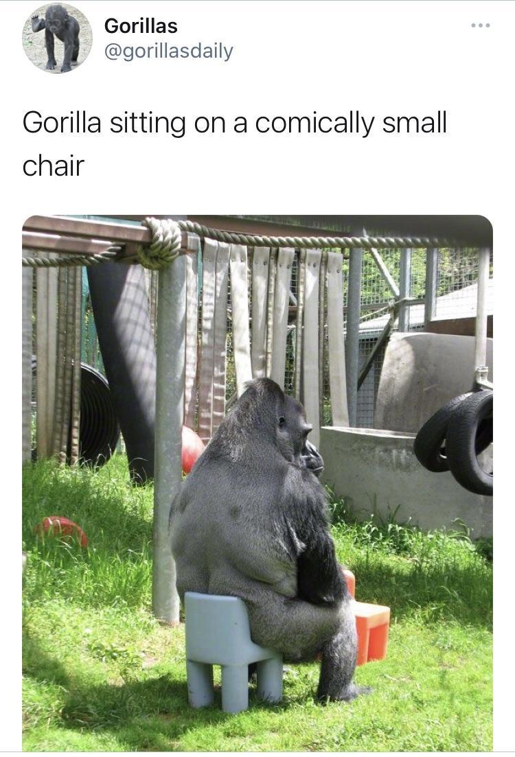 Phone clearing dump (I lost count)