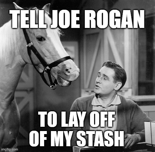 Now that's what I call a stable genius