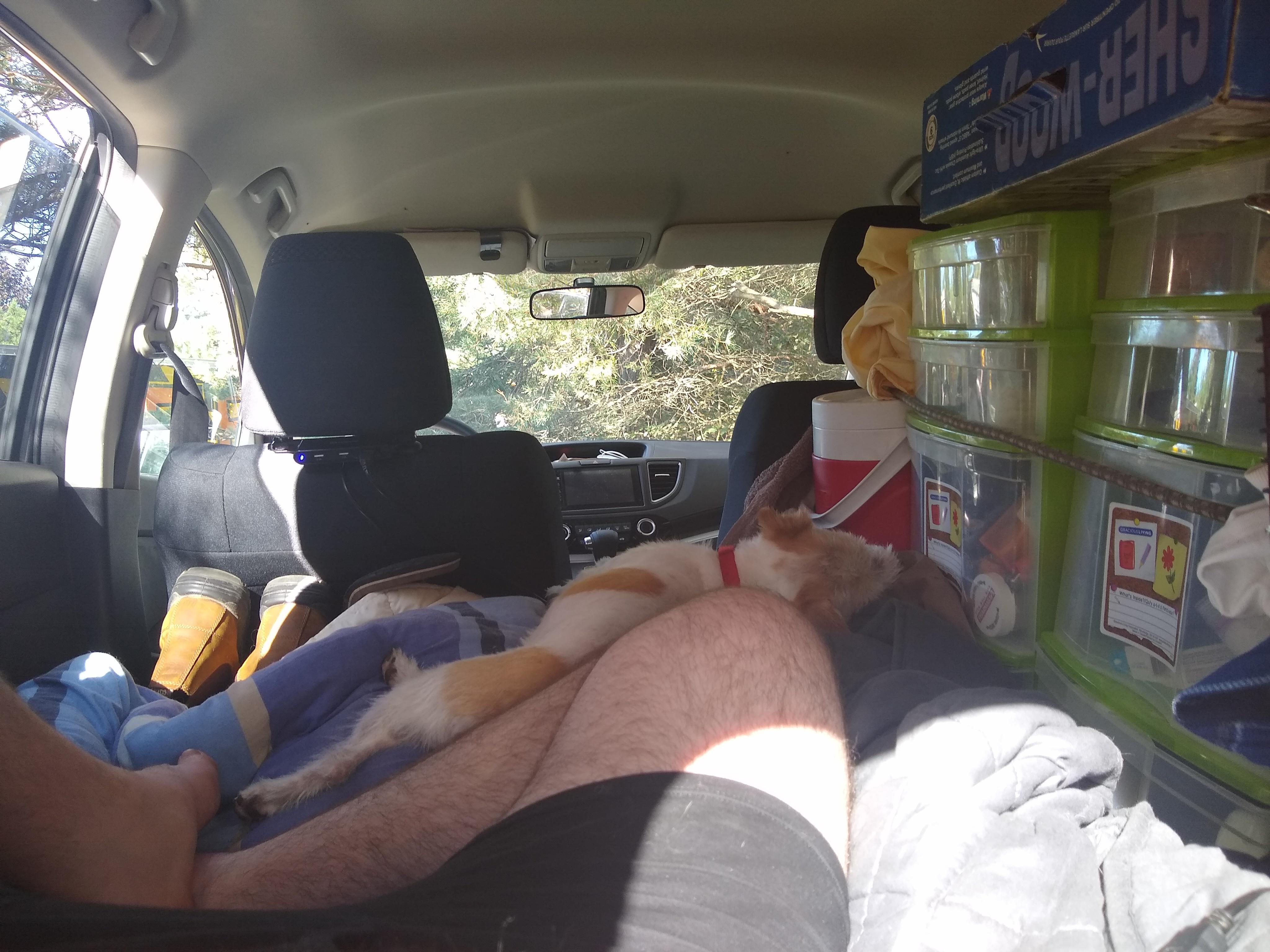 This is my life for the next month, not as bad as I thought it would be