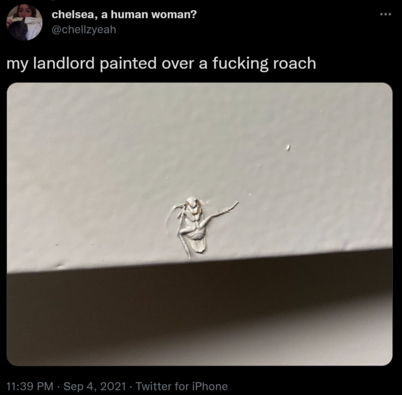 Is it still "not my job" when it's your own property?!