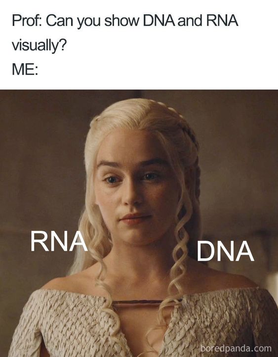 Difference between RNA and DNA :D