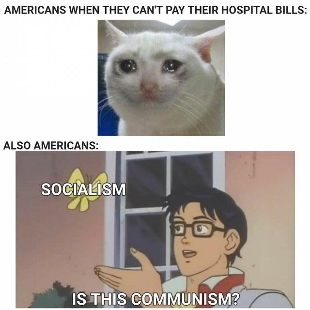 Well would you look at that