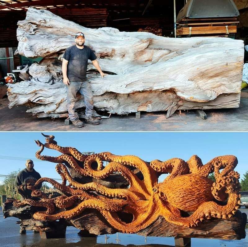 From fallen redwood to this incredible giant octopus art...