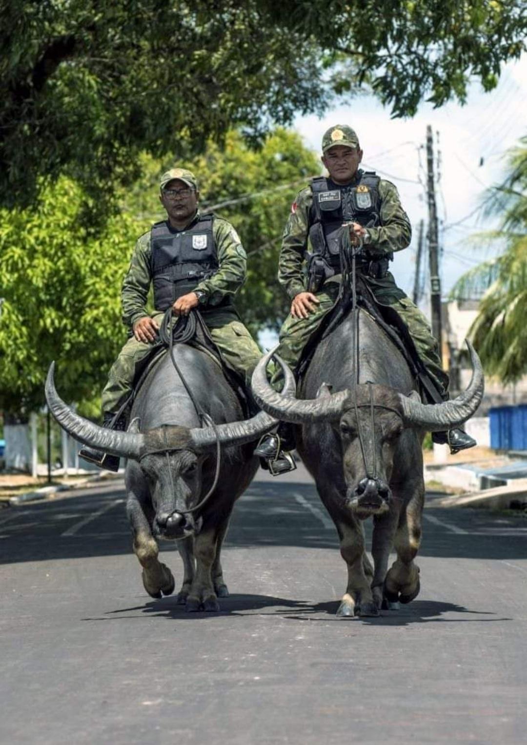 Police in Maraj&oacute; Island (Brazil)