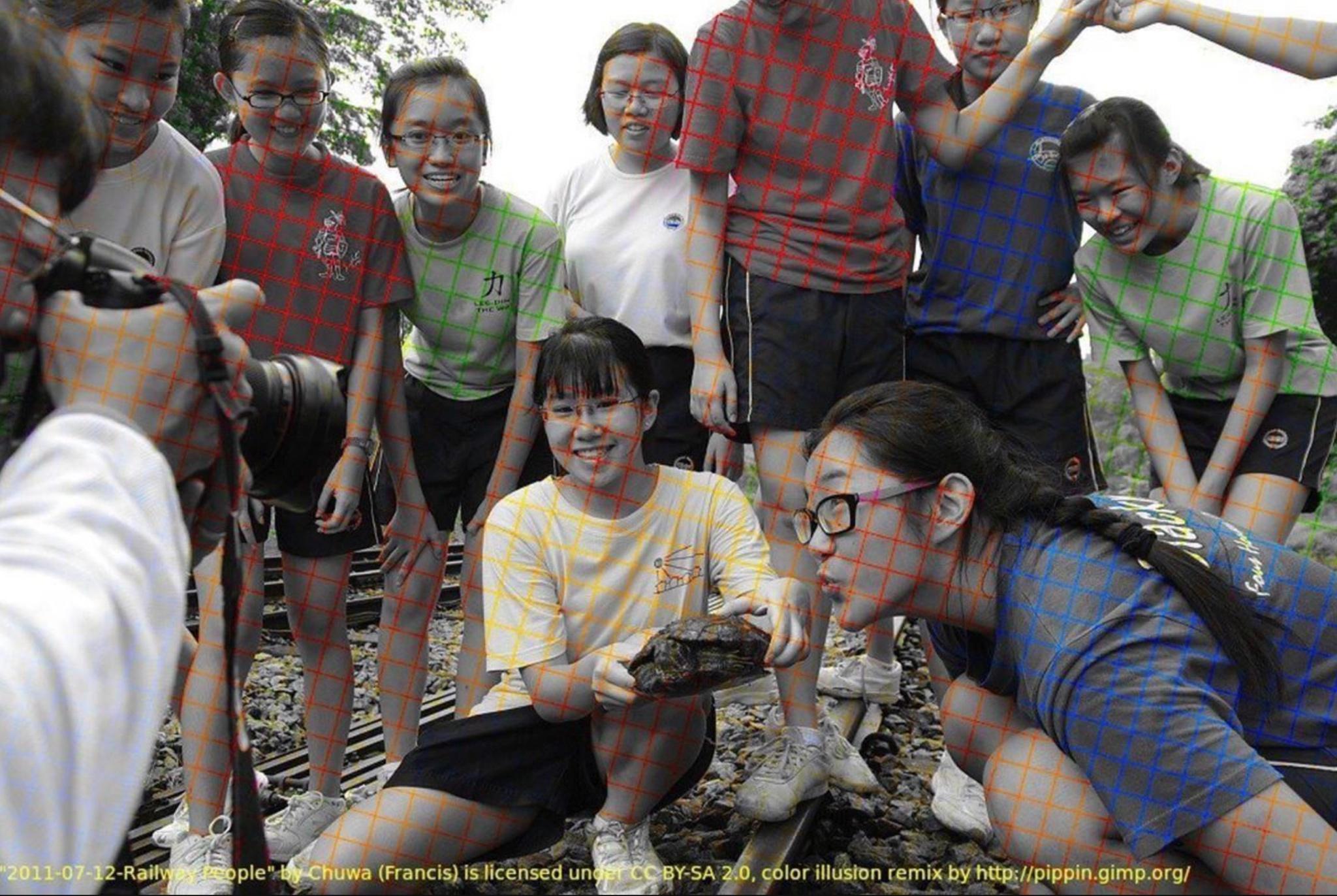 Black and white photo with color grid lines prompting your mind to fill in the blanks.