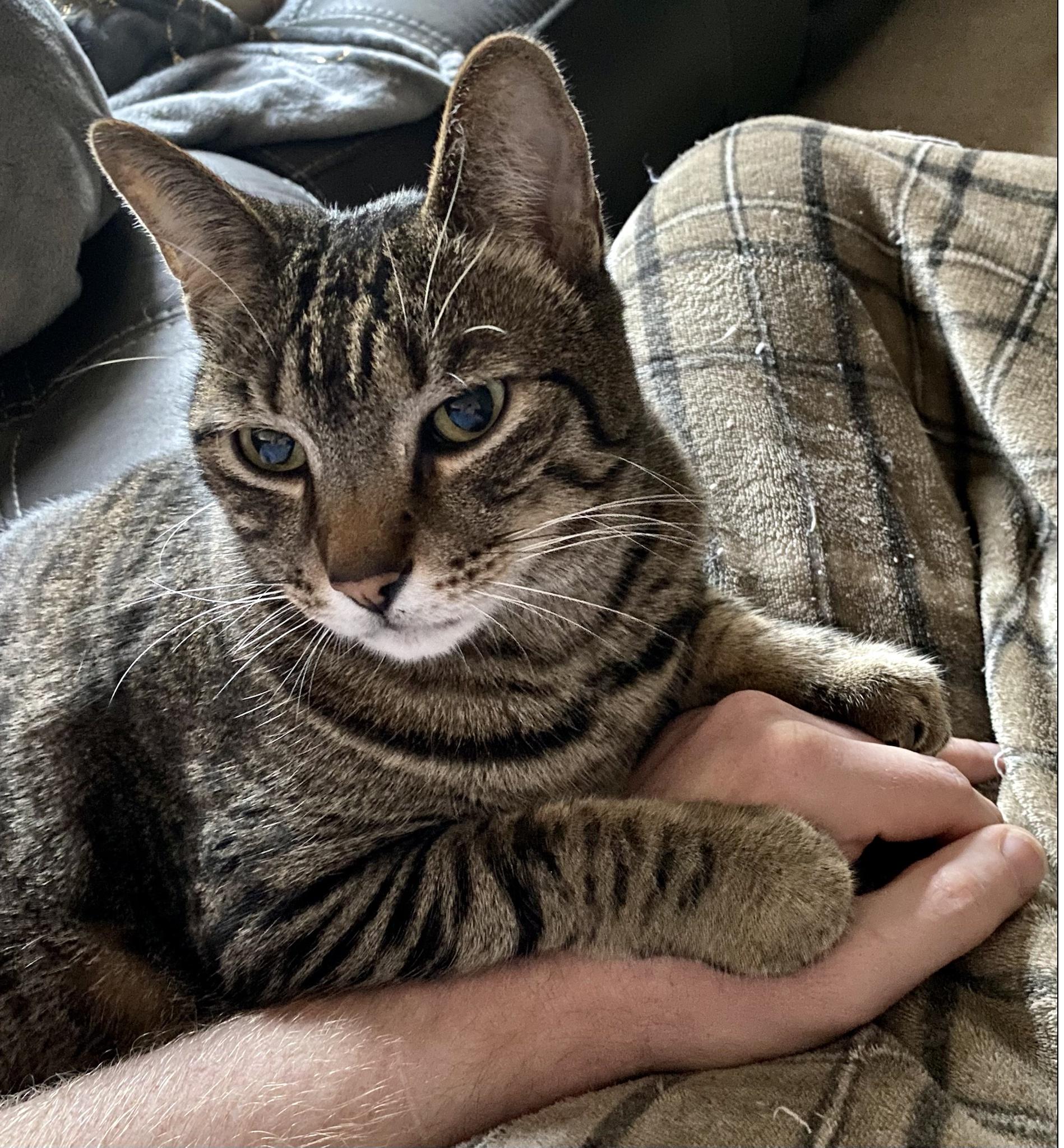 Why I was late to work