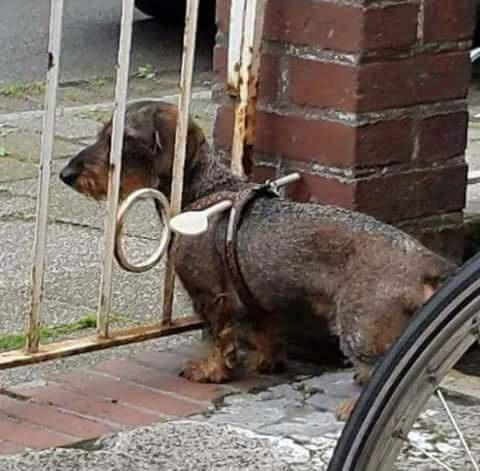 Creative problem solving