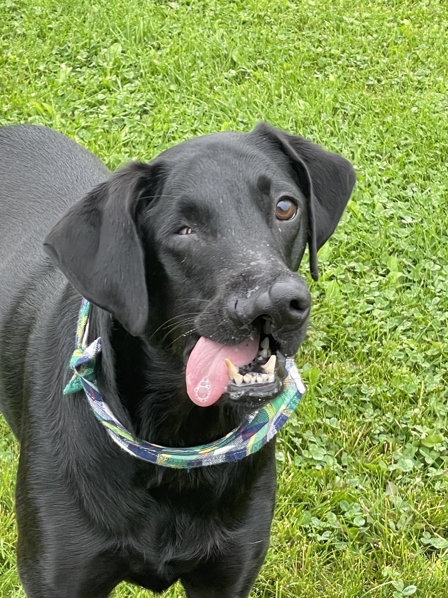 It&rsquo;s Felix Friday!!!!